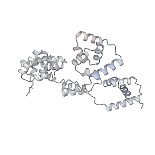 42439_8uox_BN_v1-1
Cryo-EM structure of a Counterclockwise locked form of the Salmonella enterica Typhimurium flagellar C-ring, with C34 symmetry applied