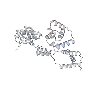 42439_8uox_BO_v1-0
Cryo-EM structure of a Counterclockwise locked form of the Salmonella enterica Typhimurium flagellar C-ring, with C34 symmetry applied