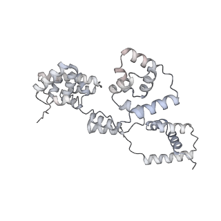 42439_8uox_BO_v1-1
Cryo-EM structure of a Counterclockwise locked form of the Salmonella enterica Typhimurium flagellar C-ring, with C34 symmetry applied