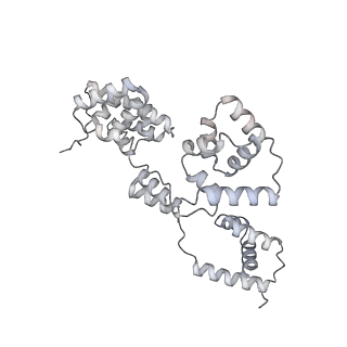 42439_8uox_BQ_v1-0
Cryo-EM structure of a Counterclockwise locked form of the Salmonella enterica Typhimurium flagellar C-ring, with C34 symmetry applied