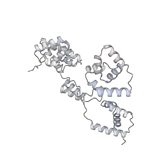 42439_8uox_BQ_v1-1
Cryo-EM structure of a Counterclockwise locked form of the Salmonella enterica Typhimurium flagellar C-ring, with C34 symmetry applied