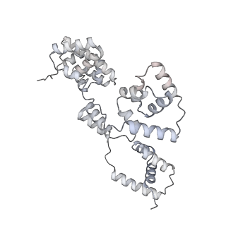 42439_8uox_BR_v1-0
Cryo-EM structure of a Counterclockwise locked form of the Salmonella enterica Typhimurium flagellar C-ring, with C34 symmetry applied