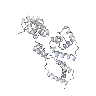 42439_8uox_BR_v1-1
Cryo-EM structure of a Counterclockwise locked form of the Salmonella enterica Typhimurium flagellar C-ring, with C34 symmetry applied