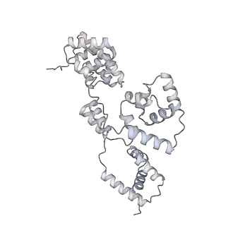42439_8uox_BS_v1-0
Cryo-EM structure of a Counterclockwise locked form of the Salmonella enterica Typhimurium flagellar C-ring, with C34 symmetry applied