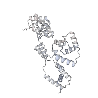 42439_8uox_BS_v1-1
Cryo-EM structure of a Counterclockwise locked form of the Salmonella enterica Typhimurium flagellar C-ring, with C34 symmetry applied