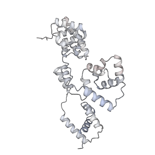 42439_8uox_BT_v1-0
Cryo-EM structure of a Counterclockwise locked form of the Salmonella enterica Typhimurium flagellar C-ring, with C34 symmetry applied