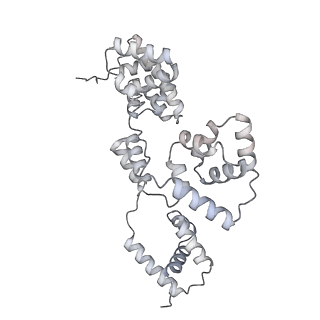 42439_8uox_BT_v1-1
Cryo-EM structure of a Counterclockwise locked form of the Salmonella enterica Typhimurium flagellar C-ring, with C34 symmetry applied