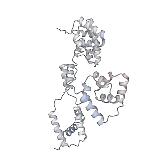 42439_8uox_BV_v1-0
Cryo-EM structure of a Counterclockwise locked form of the Salmonella enterica Typhimurium flagellar C-ring, with C34 symmetry applied