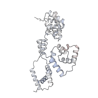 42439_8uox_BV_v1-1
Cryo-EM structure of a Counterclockwise locked form of the Salmonella enterica Typhimurium flagellar C-ring, with C34 symmetry applied