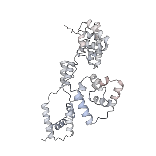 42439_8uox_BW_v1-0
Cryo-EM structure of a Counterclockwise locked form of the Salmonella enterica Typhimurium flagellar C-ring, with C34 symmetry applied