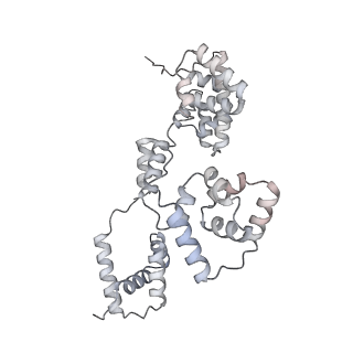 42439_8uox_BW_v1-1
Cryo-EM structure of a Counterclockwise locked form of the Salmonella enterica Typhimurium flagellar C-ring, with C34 symmetry applied