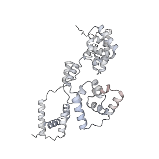 42439_8uox_BX_v1-0
Cryo-EM structure of a Counterclockwise locked form of the Salmonella enterica Typhimurium flagellar C-ring, with C34 symmetry applied