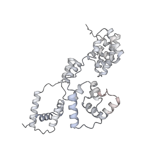 42439_8uox_BY_v1-0
Cryo-EM structure of a Counterclockwise locked form of the Salmonella enterica Typhimurium flagellar C-ring, with C34 symmetry applied