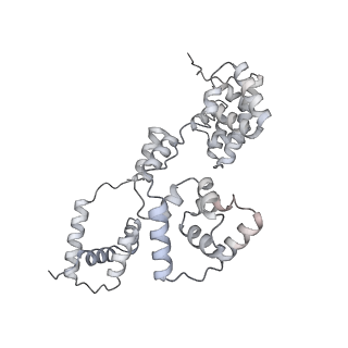 42439_8uox_BY_v1-1
Cryo-EM structure of a Counterclockwise locked form of the Salmonella enterica Typhimurium flagellar C-ring, with C34 symmetry applied