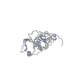 42439_8uox_C1_v1-0
Cryo-EM structure of a Counterclockwise locked form of the Salmonella enterica Typhimurium flagellar C-ring, with C34 symmetry applied