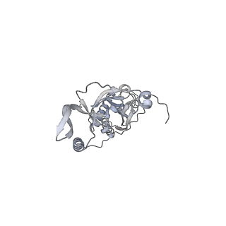 42439_8uox_C1_v1-1
Cryo-EM structure of a Counterclockwise locked form of the Salmonella enterica Typhimurium flagellar C-ring, with C34 symmetry applied