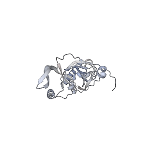 42439_8uox_C2_v1-0
Cryo-EM structure of a Counterclockwise locked form of the Salmonella enterica Typhimurium flagellar C-ring, with C34 symmetry applied