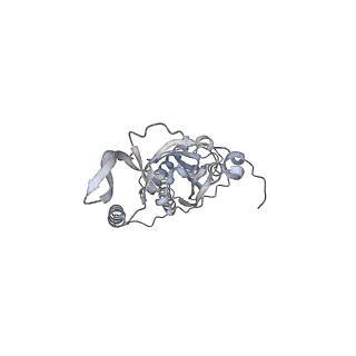 42439_8uox_C2_v1-1
Cryo-EM structure of a Counterclockwise locked form of the Salmonella enterica Typhimurium flagellar C-ring, with C34 symmetry applied