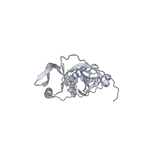 42439_8uox_C3_v1-0
Cryo-EM structure of a Counterclockwise locked form of the Salmonella enterica Typhimurium flagellar C-ring, with C34 symmetry applied