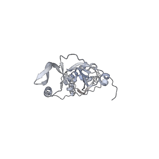 42439_8uox_C3_v1-1
Cryo-EM structure of a Counterclockwise locked form of the Salmonella enterica Typhimurium flagellar C-ring, with C34 symmetry applied