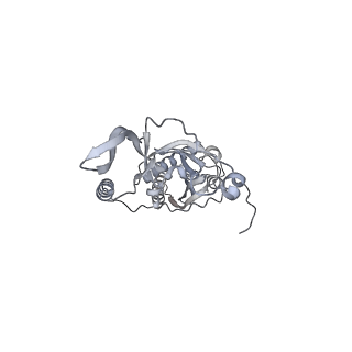 42439_8uox_C4_v1-0
Cryo-EM structure of a Counterclockwise locked form of the Salmonella enterica Typhimurium flagellar C-ring, with C34 symmetry applied