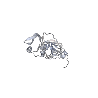 42439_8uox_C5_v1-0
Cryo-EM structure of a Counterclockwise locked form of the Salmonella enterica Typhimurium flagellar C-ring, with C34 symmetry applied