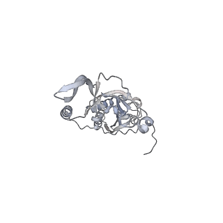 42439_8uox_C5_v1-1
Cryo-EM structure of a Counterclockwise locked form of the Salmonella enterica Typhimurium flagellar C-ring, with C34 symmetry applied