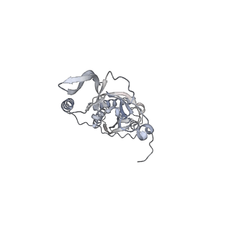 42439_8uox_C6_v1-0
Cryo-EM structure of a Counterclockwise locked form of the Salmonella enterica Typhimurium flagellar C-ring, with C34 symmetry applied