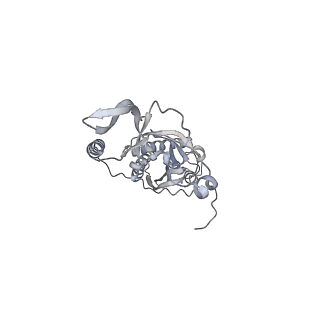 42439_8uox_C6_v1-1
Cryo-EM structure of a Counterclockwise locked form of the Salmonella enterica Typhimurium flagellar C-ring, with C34 symmetry applied