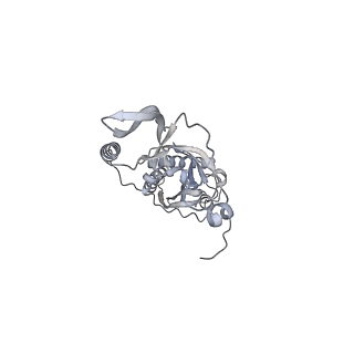 42439_8uox_C7_v1-0
Cryo-EM structure of a Counterclockwise locked form of the Salmonella enterica Typhimurium flagellar C-ring, with C34 symmetry applied