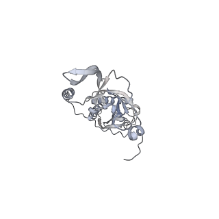 42439_8uox_C7_v1-1
Cryo-EM structure of a Counterclockwise locked form of the Salmonella enterica Typhimurium flagellar C-ring, with C34 symmetry applied