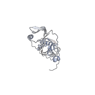 42439_8uox_C8_v1-0
Cryo-EM structure of a Counterclockwise locked form of the Salmonella enterica Typhimurium flagellar C-ring, with C34 symmetry applied