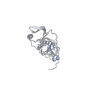 42439_8uox_C8_v1-1
Cryo-EM structure of a Counterclockwise locked form of the Salmonella enterica Typhimurium flagellar C-ring, with C34 symmetry applied