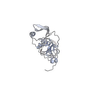 42439_8uox_C9_v1-1
Cryo-EM structure of a Counterclockwise locked form of the Salmonella enterica Typhimurium flagellar C-ring, with C34 symmetry applied