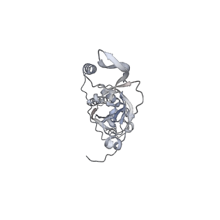 42439_8uox_CB_v1-0
Cryo-EM structure of a Counterclockwise locked form of the Salmonella enterica Typhimurium flagellar C-ring, with C34 symmetry applied