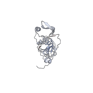 42439_8uox_CB_v1-1
Cryo-EM structure of a Counterclockwise locked form of the Salmonella enterica Typhimurium flagellar C-ring, with C34 symmetry applied