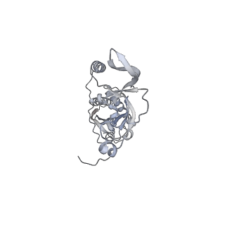 42439_8uox_CC_v1-1
Cryo-EM structure of a Counterclockwise locked form of the Salmonella enterica Typhimurium flagellar C-ring, with C34 symmetry applied