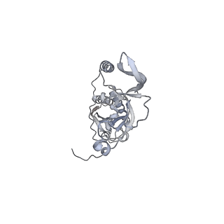 42439_8uox_CD_v1-0
Cryo-EM structure of a Counterclockwise locked form of the Salmonella enterica Typhimurium flagellar C-ring, with C34 symmetry applied