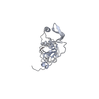 42439_8uox_CD_v1-1
Cryo-EM structure of a Counterclockwise locked form of the Salmonella enterica Typhimurium flagellar C-ring, with C34 symmetry applied