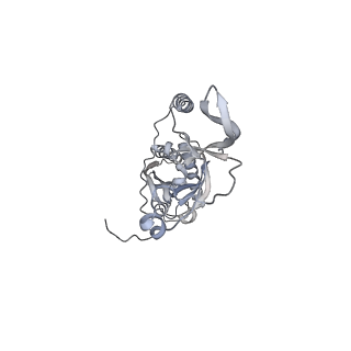 42439_8uox_CE_v1-0
Cryo-EM structure of a Counterclockwise locked form of the Salmonella enterica Typhimurium flagellar C-ring, with C34 symmetry applied
