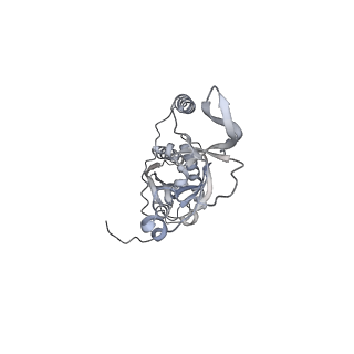 42439_8uox_CE_v1-1
Cryo-EM structure of a Counterclockwise locked form of the Salmonella enterica Typhimurium flagellar C-ring, with C34 symmetry applied