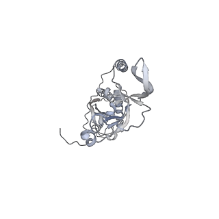 42439_8uox_CF_v1-0
Cryo-EM structure of a Counterclockwise locked form of the Salmonella enterica Typhimurium flagellar C-ring, with C34 symmetry applied