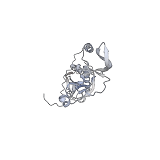 42439_8uox_CF_v1-1
Cryo-EM structure of a Counterclockwise locked form of the Salmonella enterica Typhimurium flagellar C-ring, with C34 symmetry applied