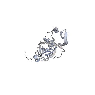 42439_8uox_CG_v1-0
Cryo-EM structure of a Counterclockwise locked form of the Salmonella enterica Typhimurium flagellar C-ring, with C34 symmetry applied