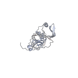 42439_8uox_CG_v1-1
Cryo-EM structure of a Counterclockwise locked form of the Salmonella enterica Typhimurium flagellar C-ring, with C34 symmetry applied