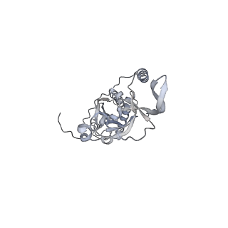 42439_8uox_CH_v1-0
Cryo-EM structure of a Counterclockwise locked form of the Salmonella enterica Typhimurium flagellar C-ring, with C34 symmetry applied
