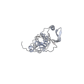 42439_8uox_CH_v1-1
Cryo-EM structure of a Counterclockwise locked form of the Salmonella enterica Typhimurium flagellar C-ring, with C34 symmetry applied