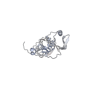 42439_8uox_CI_v1-0
Cryo-EM structure of a Counterclockwise locked form of the Salmonella enterica Typhimurium flagellar C-ring, with C34 symmetry applied