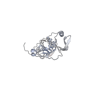 42439_8uox_CI_v1-1
Cryo-EM structure of a Counterclockwise locked form of the Salmonella enterica Typhimurium flagellar C-ring, with C34 symmetry applied