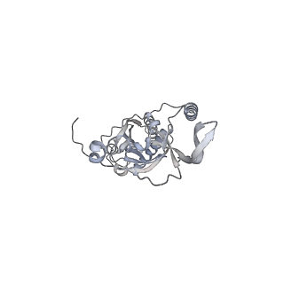 42439_8uox_CJ_v1-0
Cryo-EM structure of a Counterclockwise locked form of the Salmonella enterica Typhimurium flagellar C-ring, with C34 symmetry applied